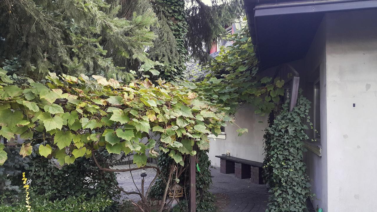 Pensjonat Europa Brzeziny 外观 照片